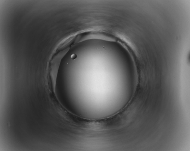 X0000088871316200706151746