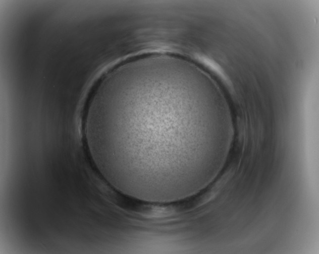 X0000088871318200706151746