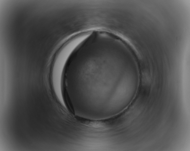 X0000088871319200706151746