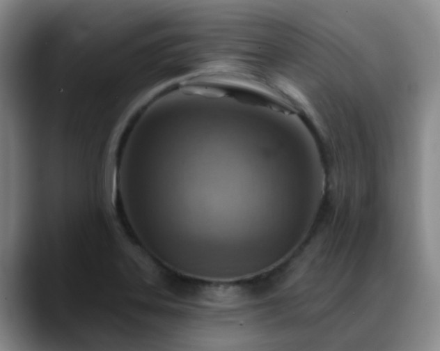 X0000088871323200706151746
