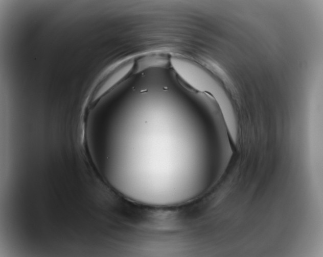 X0000088871324200706151746