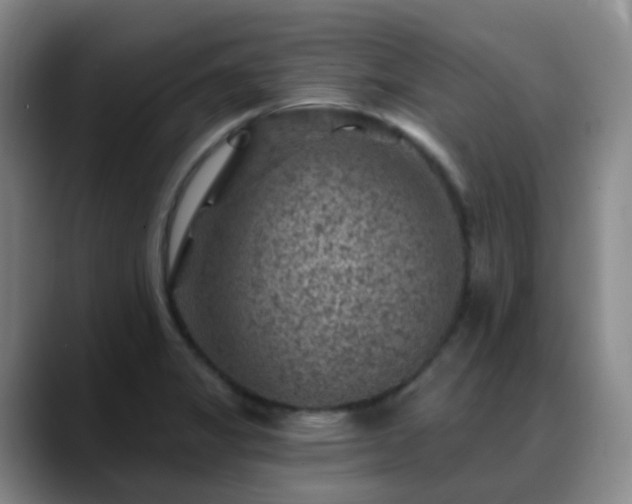 X0000088871325200706151746