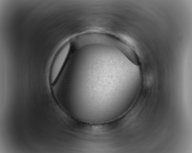 X0000088871326200706151746