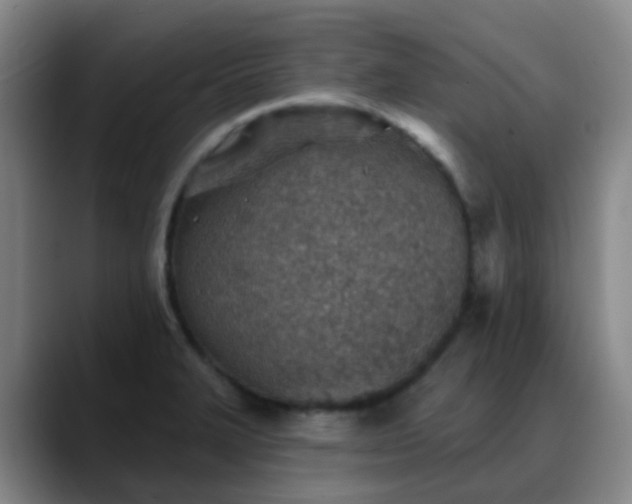 X0000088871327200706151746