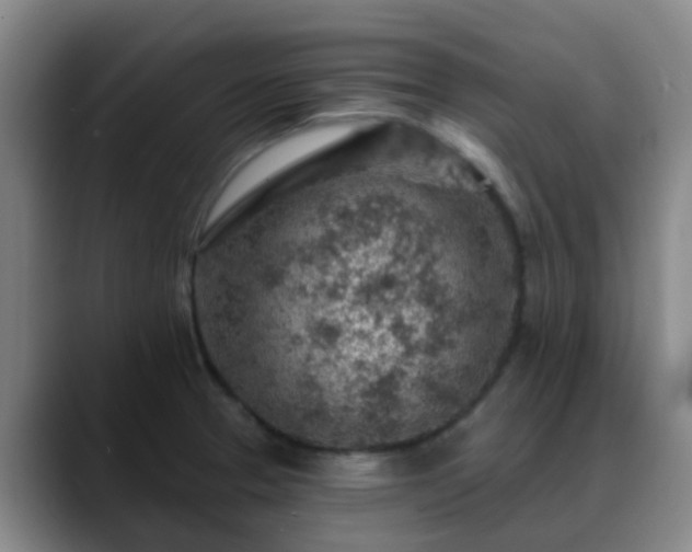 X0000088871329200706151746
