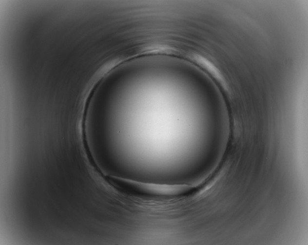 X0000088871330200706151746