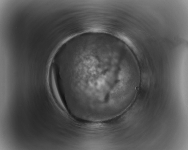 X0000088871331200706151746