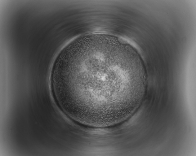 X0000088871333200706151746