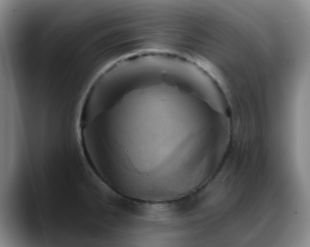 X0000088871334200706151747