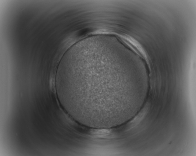 X0000088871337200706151747