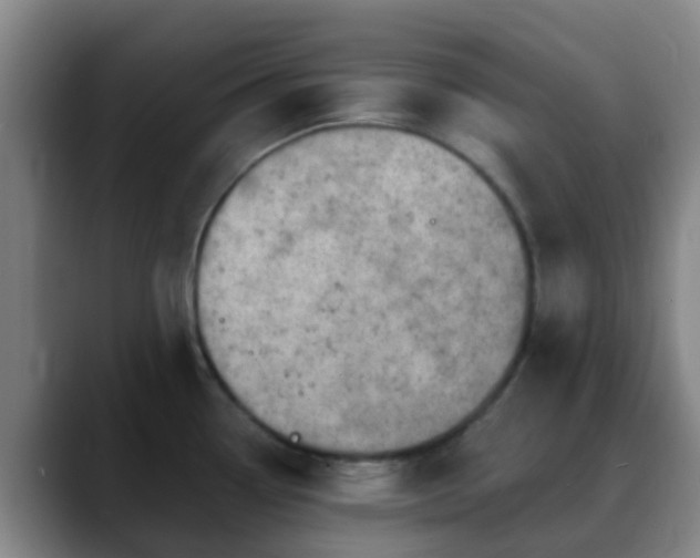 X0000088871338200706151747
