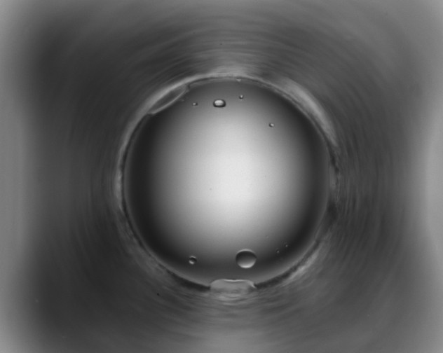 X0000088871340200706151747