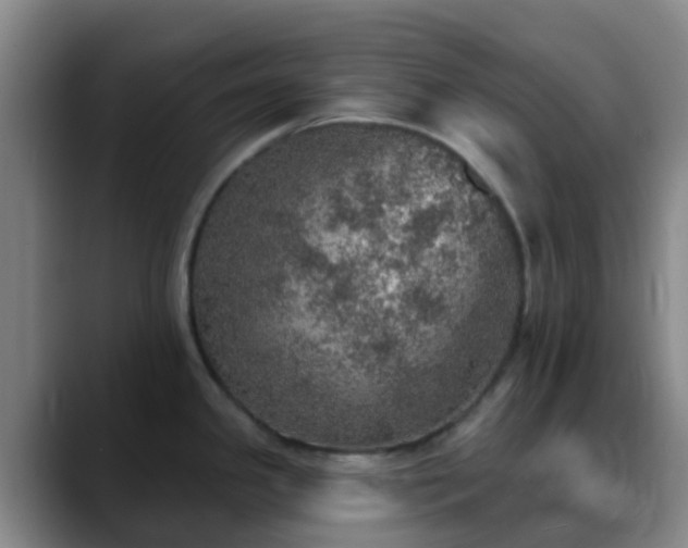 X0000088871341200706151747