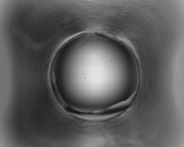 X0000088871344200706151747