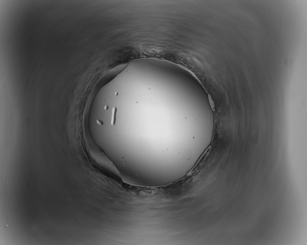 X0000088871345200706151746