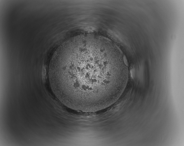 X0000088871347200706151746