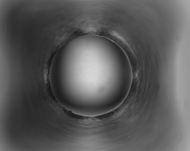 X0000088871348200706151746