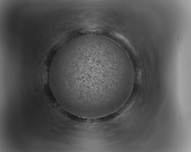 X0000088871350200706151746