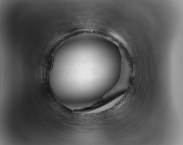 X0000088871352200706151746
