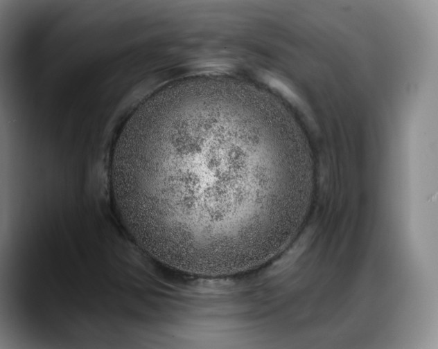 X0000088871354200706151746