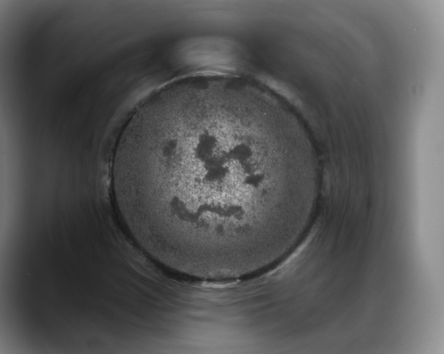 X0000088871355200706151746