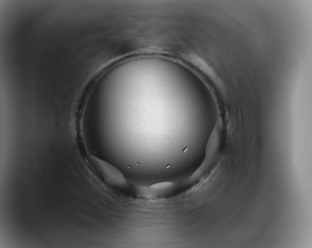 X0000088871356200706151746