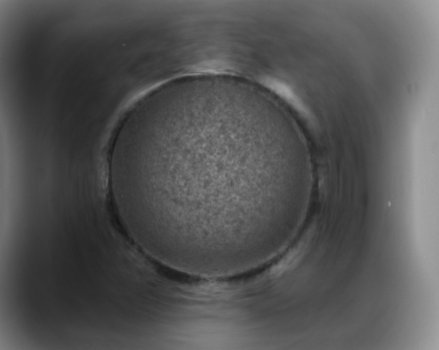 X0000088871358200706151746