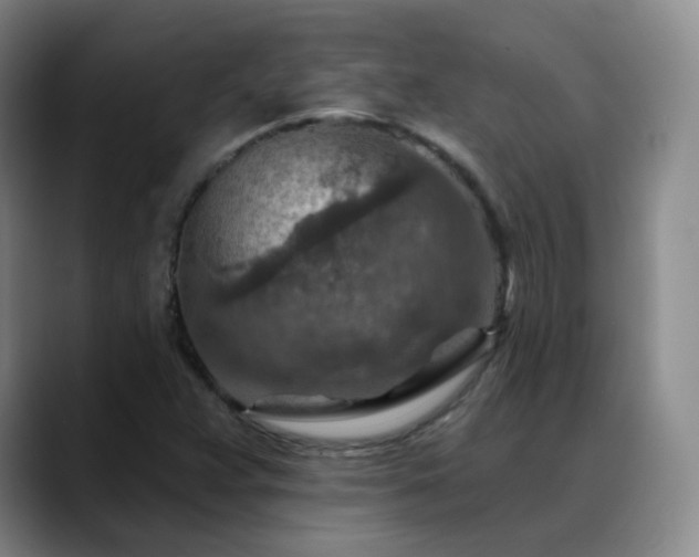 X0000088871359200706151746