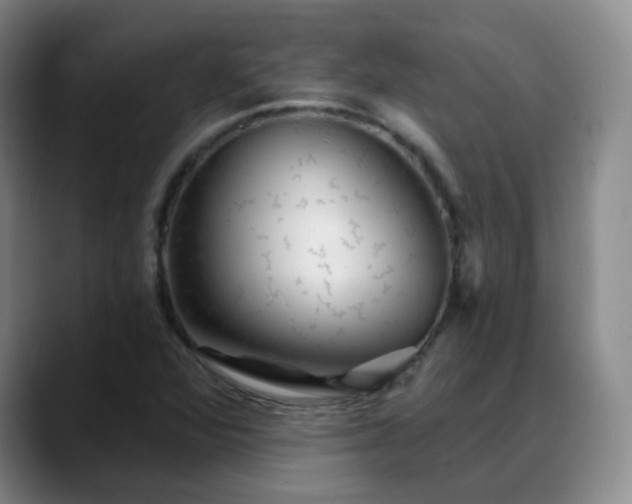X0000088871360200706151746
