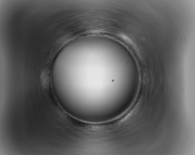 X0000088871361200706151746
