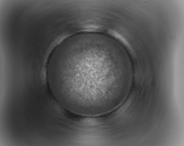 X0000088871362200706151746