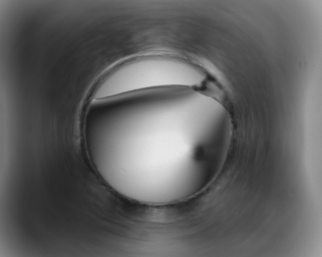 X0000088871364200706151746