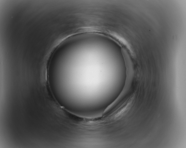 X0000088871365200706151746