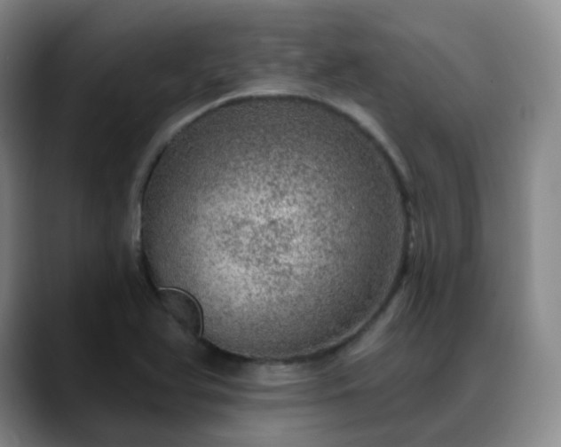 X0000088871366200706151746