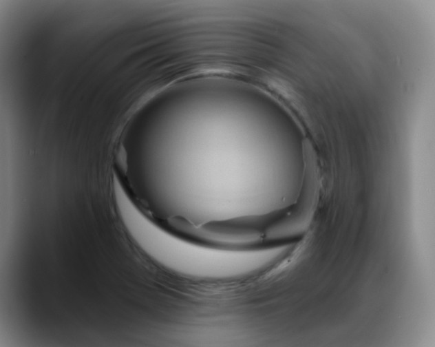 X0000088871369200706151746