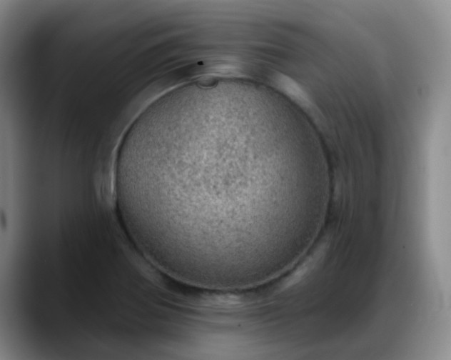 X0000088871370200706151746