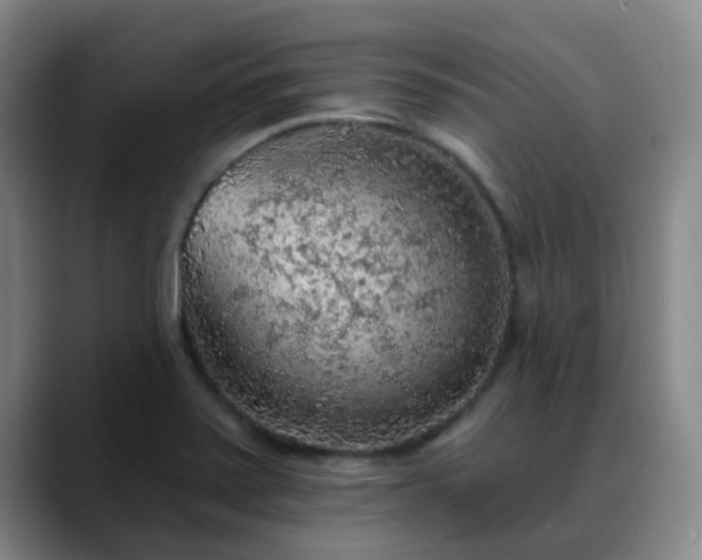 X0000088871371200706151746