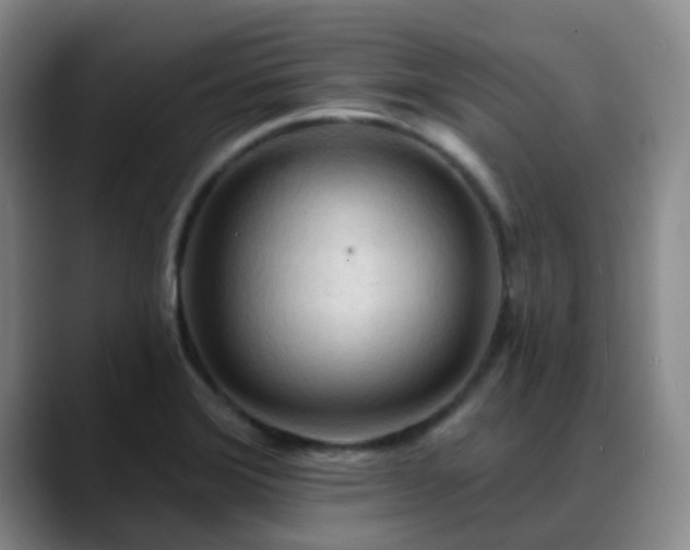 X0000088871372200706151746