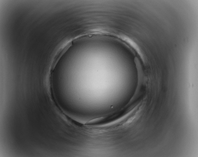 X0000088871373200706151746