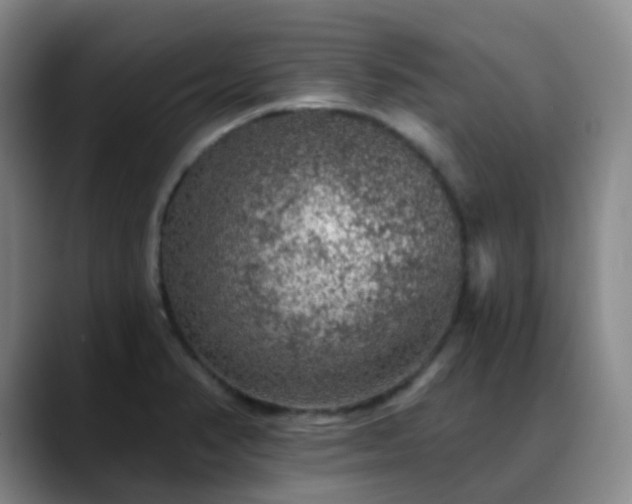 X0000088871374200706151746