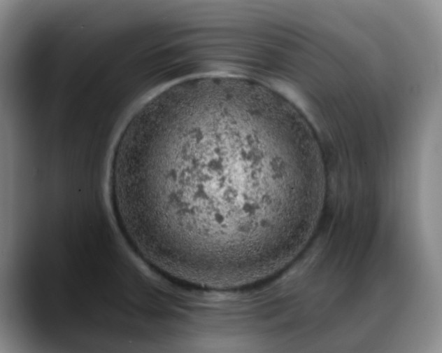 X0000088871379200706151746