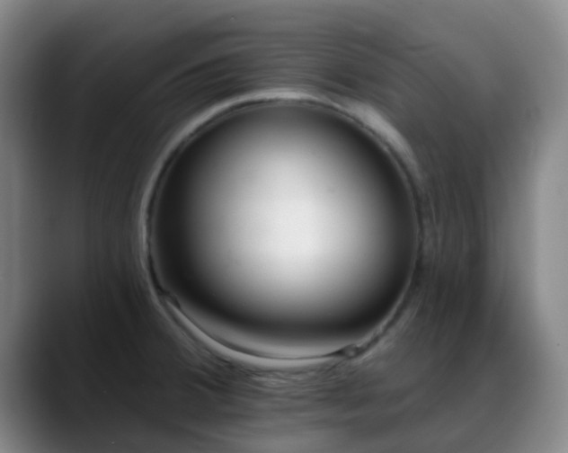 X0000088871380200706151746