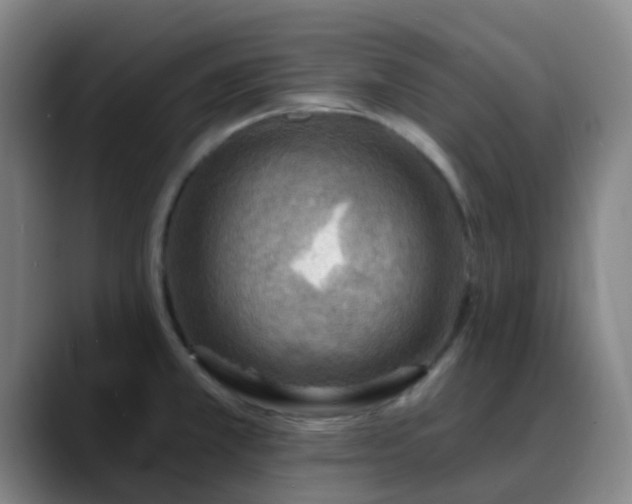 X0000088871381200706151746