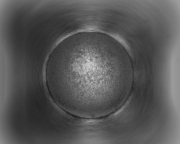 X0000088871382200706151746
