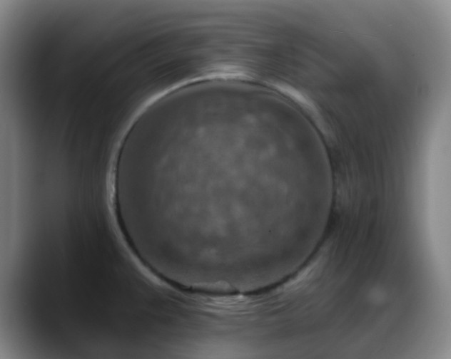 X0000088871383200706151746