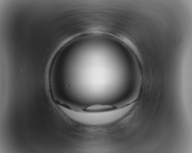 X0000088871384200706151746