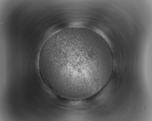 X0000088871386200706151746