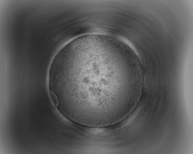 X0000088871387200706151746