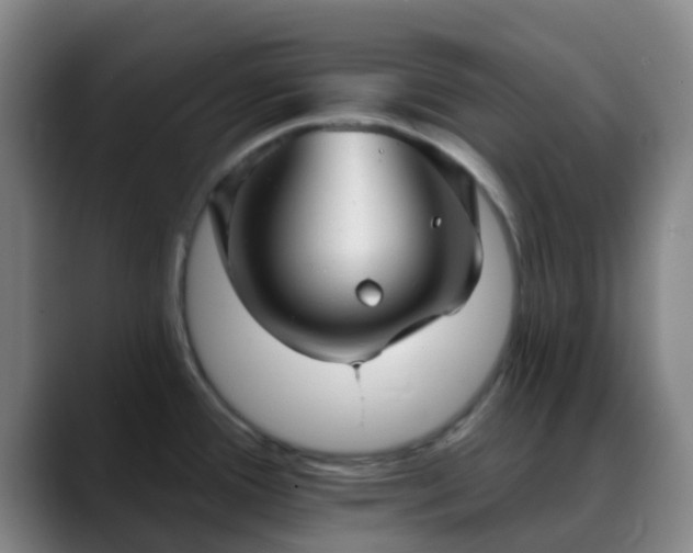 X0000088871388200706151746