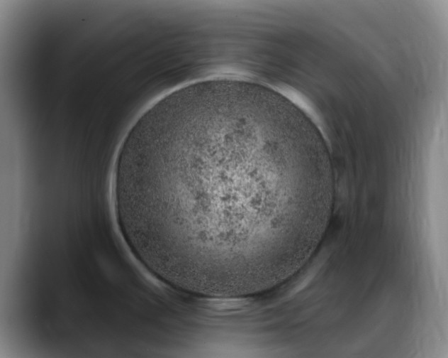 X0000088871391200706151746